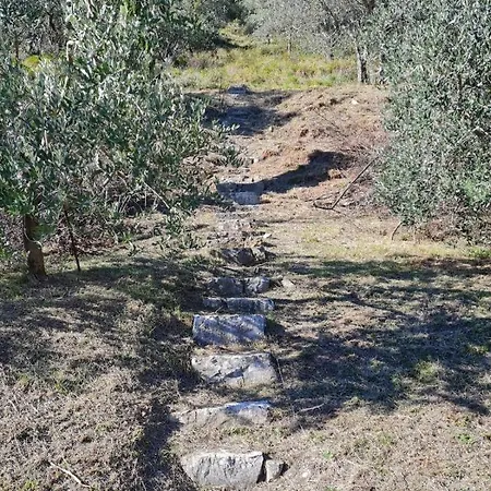 Le Tre Isole Nyaraló Parzanica